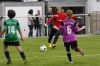 Filename=_MG_9678.jpg
Filesize=300KB
Dimensions=640x427
Date added=May 30, 2016 _MG_9678.jpg