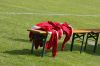 Filename=_MG_9842.jpg
Filesize=388KB
Dimensions=640x426
Date added=May 30, 2016 _MG_9842.jpg